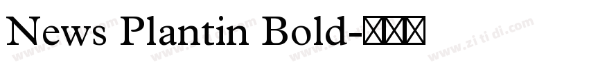 News Plantin Bold字体转换